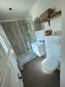 een witte badkamer met een douche en een toilet bij Bos chalet Hellendoorn met Hottub in Haarle