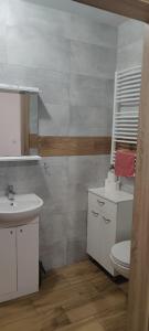 łazienka z umywalką i toaletą w obiekcie Noclegi GALESZ w Świdnicy