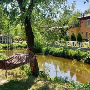 a hammock hanging from a tree next to a river at Котедж з власною фінською сауною in Poltava