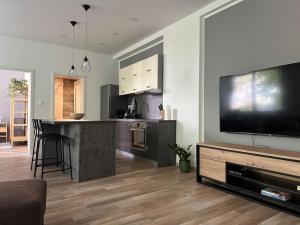 TV a/nebo společenská místnost v ubytování apartmán v Šamoríne