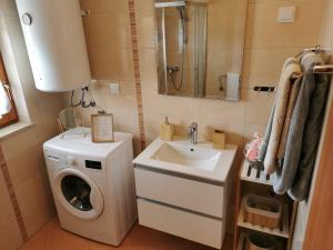 a small bathroom with a washing machine and a sink at Apartment Mango in Fažana
