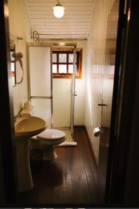 uma casa de banho com um lavatório, um WC e um espelho. em Parador Hampel em São Francisco de Paula