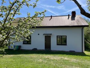 une maison blanche avec un arbre dans l'établissement Agroturystyka Nad Czarnym, à Giby