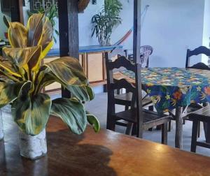 einem Tisch mit einer Topfpflanze auf einem Tisch in der Unterkunft Hostel Espaço Sairé in Alter do Chao