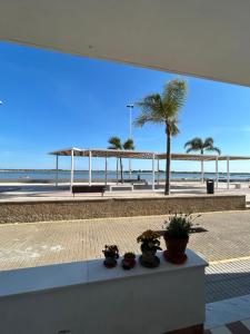 a table with potted plants on it in front of a beach at Brisa Marinera in El Rompido