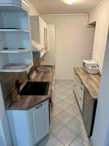 a kitchen with a sink and a counter top at Apartment Zaklad Soče with hot tub and free parking in Bovec +28 photos