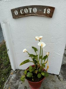 a plant in a pot in front of a door at Casa Pancha in Ribadeo