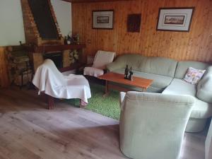 Margecany的住宿－Chata Ružín-Rolova Huta，客厅配有沙发、椅子和壁炉