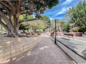 un parque con un banco y un árbol en Piso de 3 habitaciones en Agüimes, en Agüimes