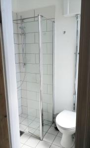 W łazience znajduje się toaleta i przeszklony prysznic. w obiekcie Large Sunny King-Size En-Suite w mieście Hastings