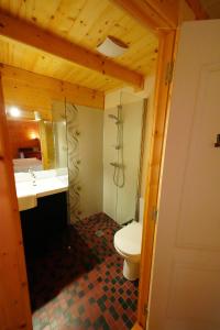 a bathroom with a toilet and a sink at La Pierre Blanche in La Sauvetat-sur-Lède