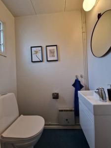 a bathroom with a toilet and a sink and a mirror at Radhus nära sjö, Arlanda och Stockholm in Upplands-Väsby