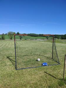 a soccer goal with a ball in the grass at Domaine Jasmin, 6 Gîtes typiquement Charentais avec Piscines in Bellon