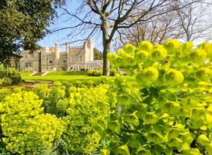 a garden with yellow flowers in front of a castle at Alberta holiday park in Whitstable