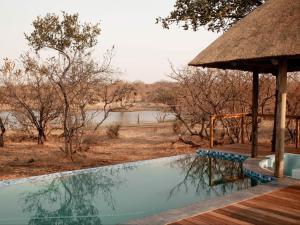 a swimming pool with a view of a river at Maroelani Lodge- Greater Kruger Private Reserve in Hoedspruit