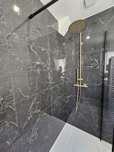 a bathroom with a shower with black marble walls at Le St Antoine - Centre Ville - Parking in Belfort