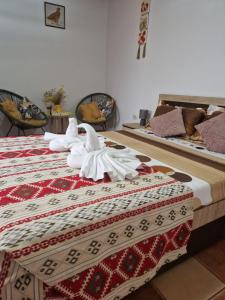 スフントゥ・ゲオルゲにあるCasa Rokoのギャラリーの写真