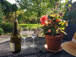 uma garrafa de vinho e copos numa mesa com uma planta em Pink Granite Garden of Ireland em Tinahely