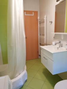 Un baño con cortina de ducha y lavabo. en Apartman Vrh, en Matulji 23 fotos más