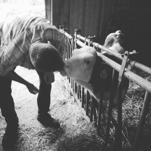 a person is looking at a sheep behind a fence at ferme pedagogique des pennetieres in Montcorbon