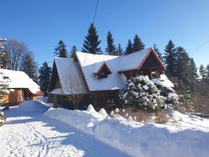 ein schneebedecktes Haus mit Bäumen im Hintergrund in der Unterkunft Domek na Obidzy in Piwniczna-Zdrój