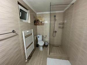 a bathroom with a toilet and a walk in shower at Casa Antonia in Chişcău