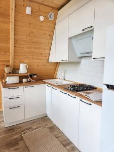Kuchyň nebo kuchyňský kout v ubytování Lake House A Frame