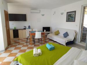 Pokój z łóżkiem, kuchnią i salonem w obiekcie Apartmani Stine w mieście Okrug Donji