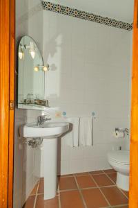 a bathroom with a sink and a toilet at Hotel La Fragua I in Trevélez