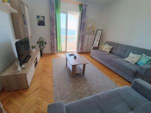 Televízia a/alebo spoločenská miestnosť v ubytovaní Apartmani Živković