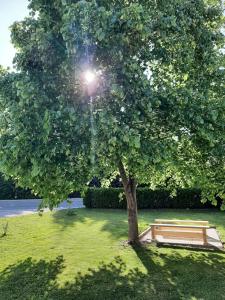 Zahrada ubytování apartma Vila TARA