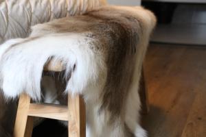 a dog sitting on top of a wooden chair at Huisje Wenum - Apeldoorn met jacuzzi in Wenum