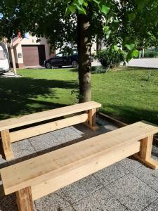 Zahrada ubytování apartma Vila TARA