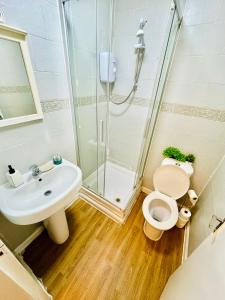 a bathroom with a shower and a toilet and a sink at Private Studio Flat in City 1190 in London