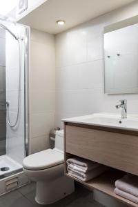 uma casa de banho com um WC, um lavatório e um chuveiro em Hotel Nippon y Centro de Eventos em Santiago