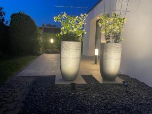 due grandi vasi bianchi con delle piante. di Haus Am Damm a Kleve
