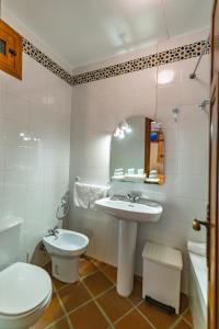 a bathroom with a sink and a toilet and a mirror at Hotel La Fragua I in Trevélez