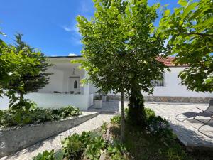 Zahrada ubytování Countriside Holiday Villa