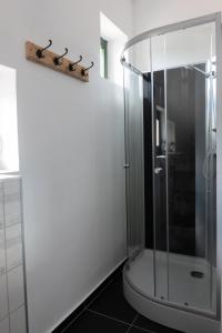 uma casa de banho com uma cabina de duche em vidro em Vályog Vendégház em Balatonendréd