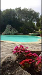 Πισίνα στο ή κοντά στο Seaside Villa in Porto Rotondo + Shared Pool
