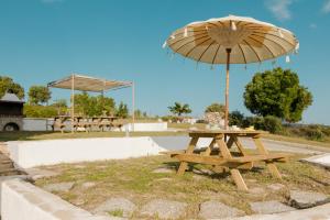 Фотография из галереи Pine in the sea Nikiti-Sithonia в Никити