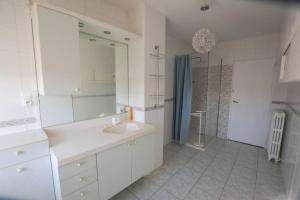 a white bathroom with a sink and a shower at Le Petit Luquis - maison de campagne 7 chambres - in Chézy-sur-Marne