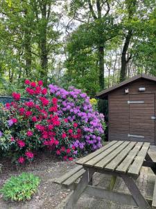 eine Holzbank neben einem Busch rosa Blumen in der Unterkunft Boshuis Luyksgestel 2-6 personen, veel privacy! in Luyksgestel