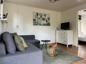 sala de estar con sofá y TV en Boshuis Luyksgestel 2-6 personen, veel privacy!, en Luyksgestel