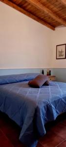 un letto con piumone blu in una camera da letto di La casa dei kiwi a Lanuvio