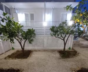 Zahrada ubytování Casa Virgilio
