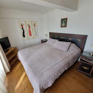 a bedroom with a large bed and a television at Max & Mar Pichilemu in Pichilemu