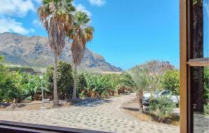 Un camino bordeado de palmeras con una montaña al fondo en Finca La Cancela, en Tanque