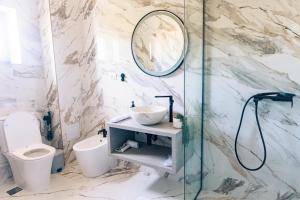 a bathroom with a toilet and a sink and a mirror at Villa Twins Techirghiol in Techirghiol +30 photos