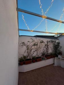 a room with potted plants on a wall at Dimora 900 in San Severo +55 photos